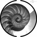 Nautilus-Spiral-nr-2
